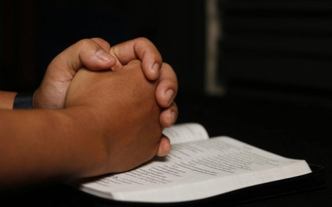 뉴스레터 사진폼 (1).png