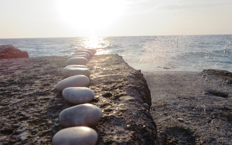 뉴스레터 사진폼 (1).png